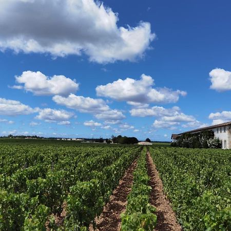 Saint-Estèphe Au Coeur Des Vignobles B&B 외부 사진