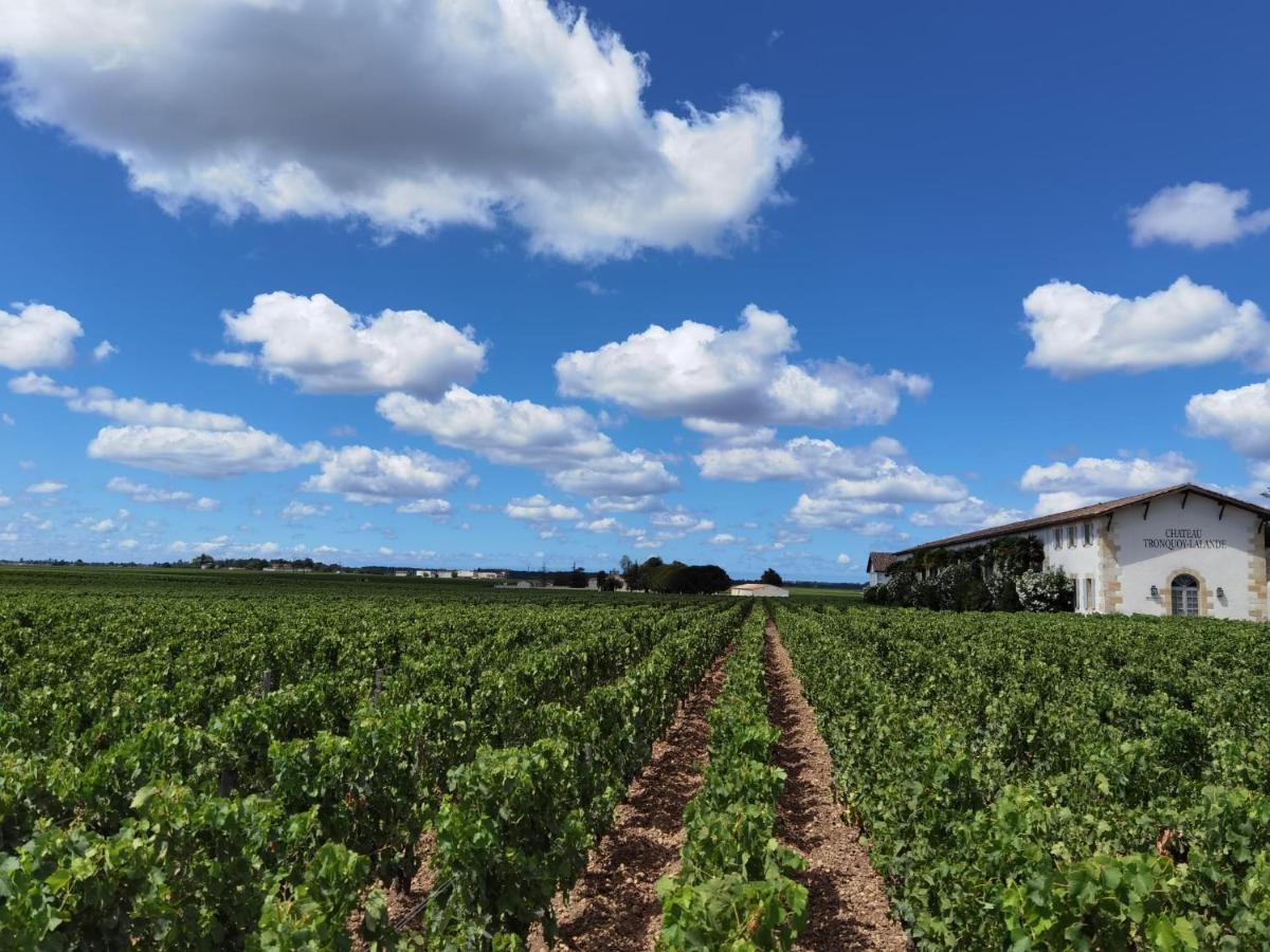Saint-Estèphe Au Coeur Des Vignobles B&B 외부 사진